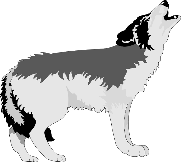 How To Set Use Howling Black And Gray Wolf Svg Vector - Gray Wolf Clipart (600x537)