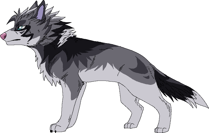 Wolf Dog Design3 Gone By Kasarawolf - Wolf Anime Transparent Background (838x533)