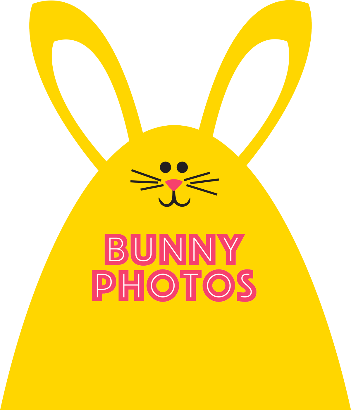 Bunny Photos - Domestic Rabbit (1200x1403)