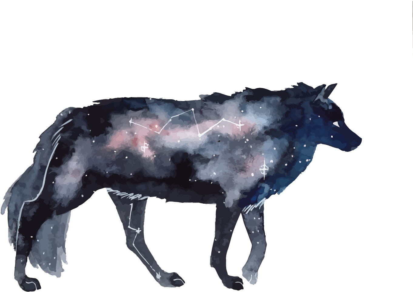 Gray Wolf Deviantart - Watercolor Galaxy Animals (1500x1056)