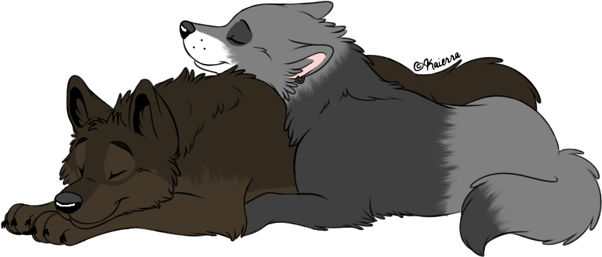 Wolf Cuddles By Solitarygraywolf - Wolves (876x495)