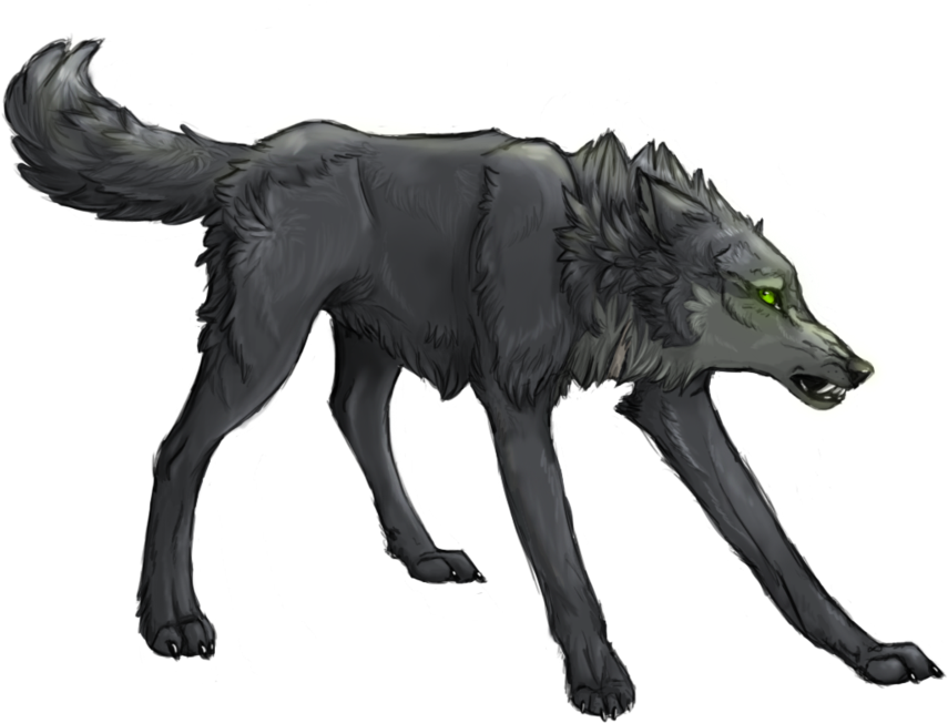 Wolf's Rain Collaboration - Imagenes De Wolf's Rain Tsume Lobo (900x652)