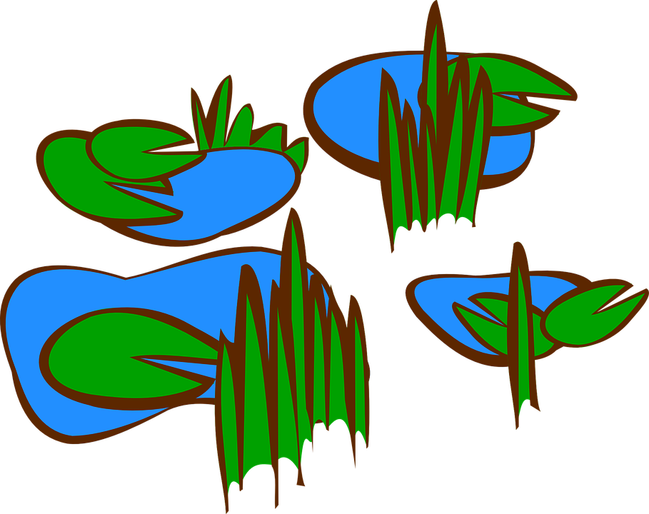Lily Pad Clipart Pond Plant - Marsh Clip Art (909x720)