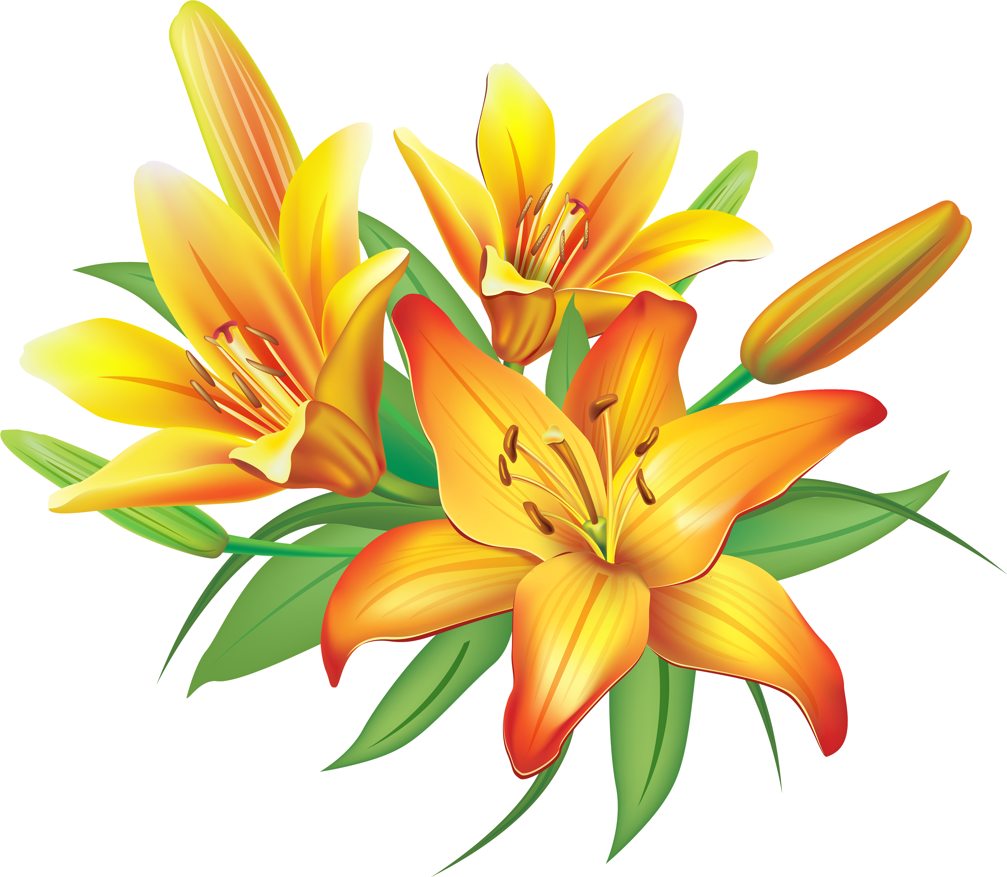 Yellow Lily Clipart - Lilies Clipart (4000x3483)
