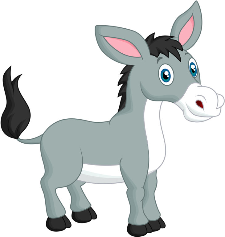 Donkey Mule - Cartoon Donkey - Donkey Mule - Cartoon Donkey (800x798)