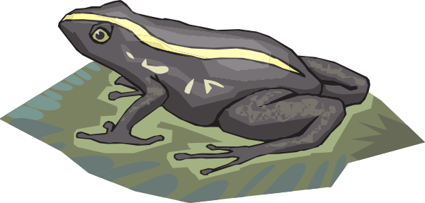 Awesome Design Ideas Lily Pad Clipart Black And Yellow - Amphibians (600x287)