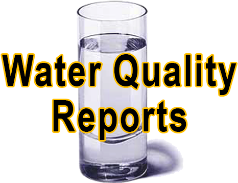 The Business Operations And Integration Division Provides - California State University Monterey Bay Logo (494x425)