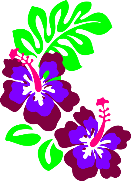 Hibiscus Con Hojas Clip Art At Clker - Hibiscus Clip Art (432x598)