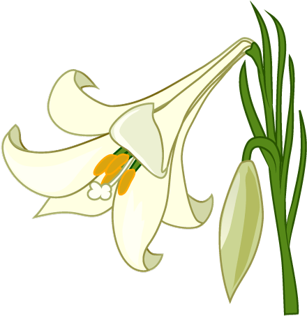 For Download Free Image - ユリ の イラスト (480x480)