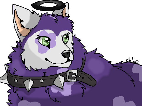 Animal Jam Arctic Wolf Art By Sidneyspeedpaints - Animal Jam Fan Art Arctic Wolf (480x360)
