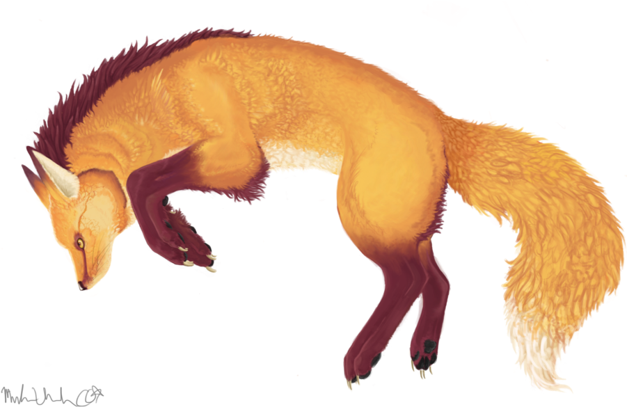 Fox Play Transparent By Lykouros-d4ed2cn - Fox Drawing Transparent (900x592)