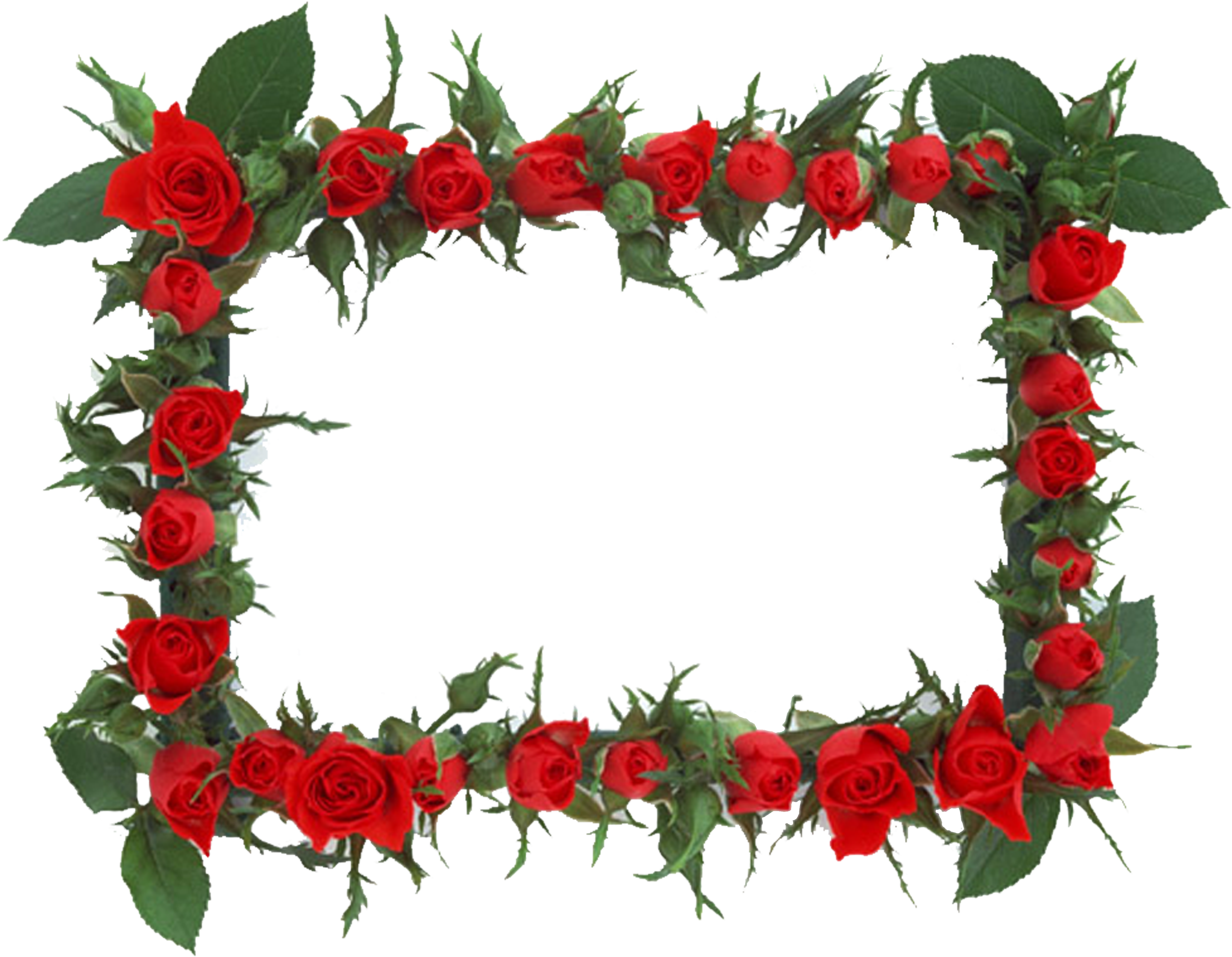 Quran M - Shab E Barat 2018 Nawafil (5906x5906)