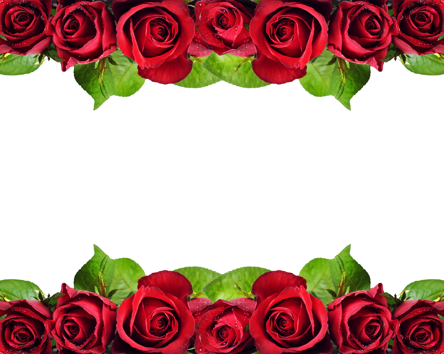 Bem Fácil Png - Rose Flower Design Border (1558x1240)