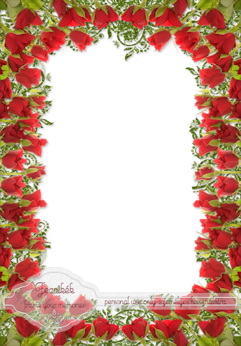 Red Rose Border - Border Designs For Projects (345x495)