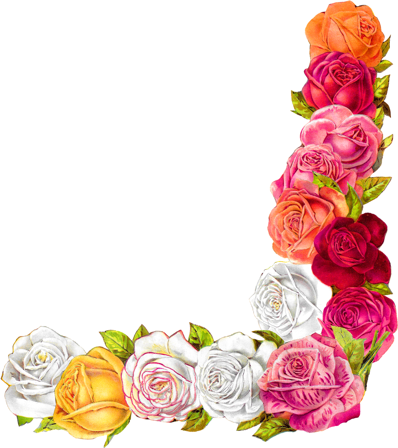 Digital Shabby Chic Rose Border Download - Shabby Chic (1474x1600)