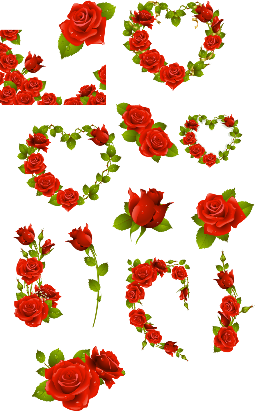 New Roses Border Clip Art Medium Size - Amber - Trilogie (9789462041981) (900x1492)