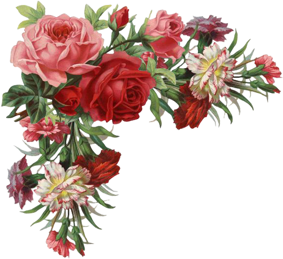 Flower Rose Vintage Clothing Clip Art - Vintage Flower Border Png (600x558)