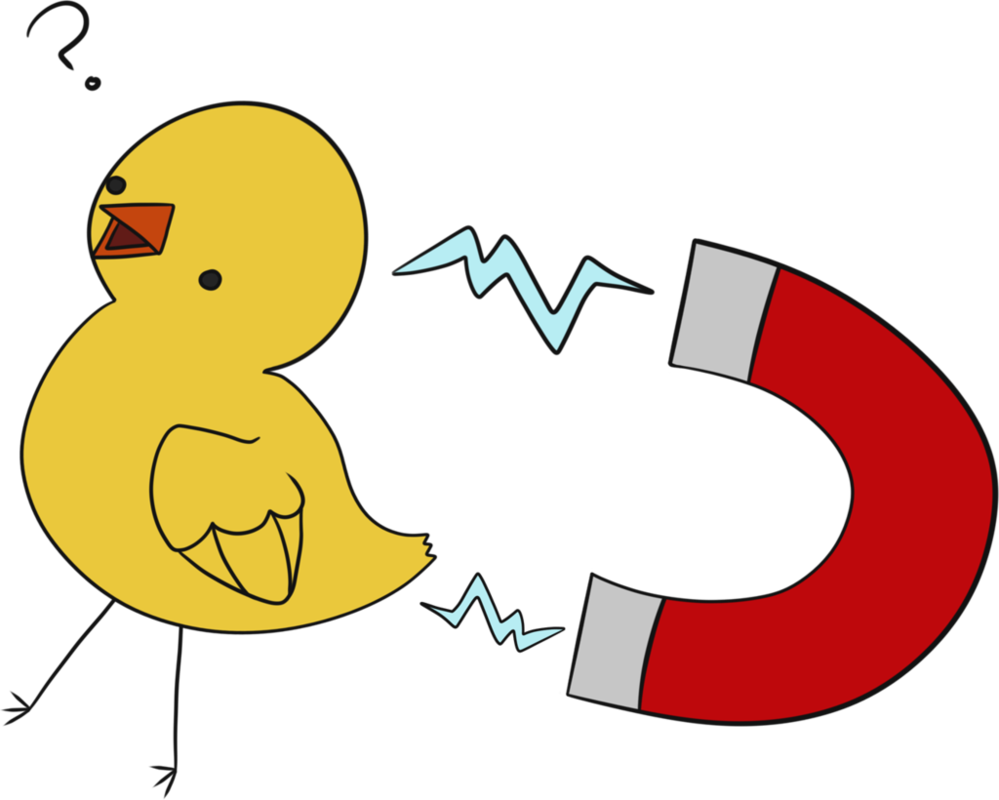 Chick Magnet - Chick Magnet Png (999x800)