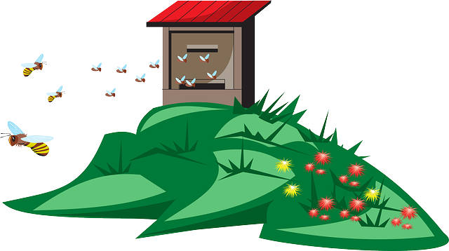 Grass Home, Box, Wooden, Flowers, Cartoon, From, Grass - Box (640x358)