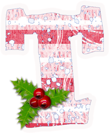 Clip Art - Currant (531x546)