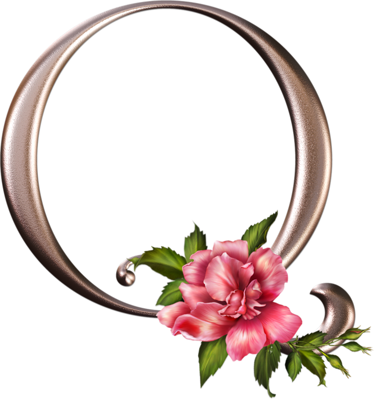 Яндекс - Фотки - Letra L Com Flores (750x800)