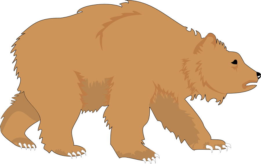 Bear Clipart - Wild Bear Mountain Ecology Center (900x568)