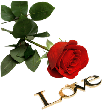 I Love You, Gifs, Tattoo Designs, Roses, Love You - Good Morning Have A Nice Day Coffee (362x381)