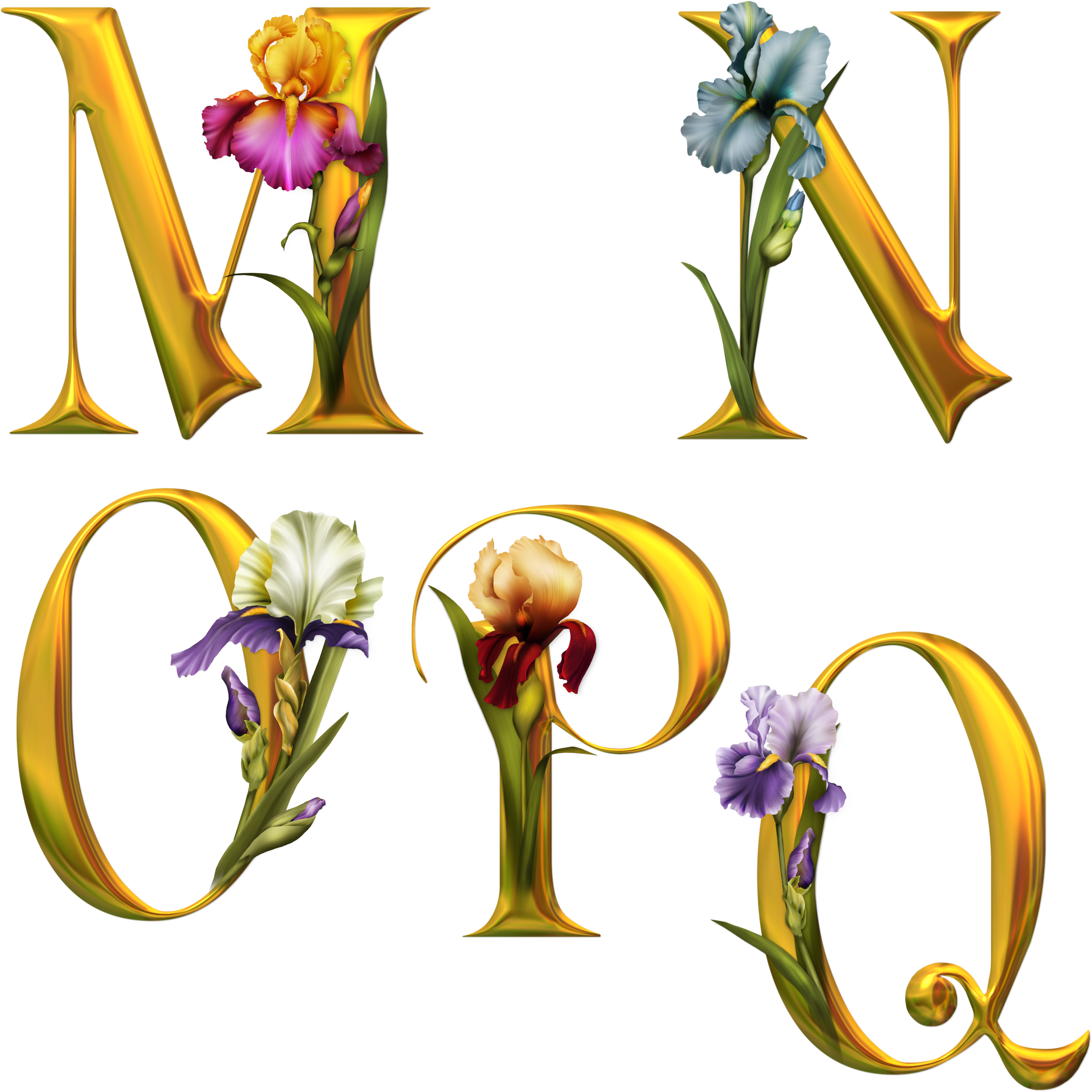 Render Alphabet Lettres Fleurs - Words From The Art [book] (2500x2500)