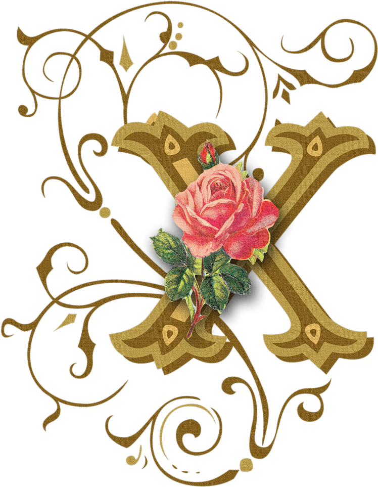 Letter - X - Alphabet Letter X Chunk Snap Button Pendant Fits Snaps (913x1024)