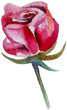 1/3 - Garden Roses (357x419)