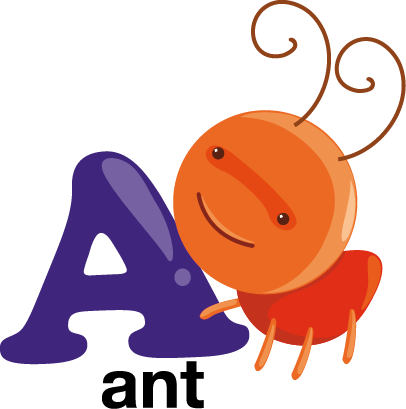 Couleur De Votre Mur - Animal Con La Letra A En Ingles (406x409)