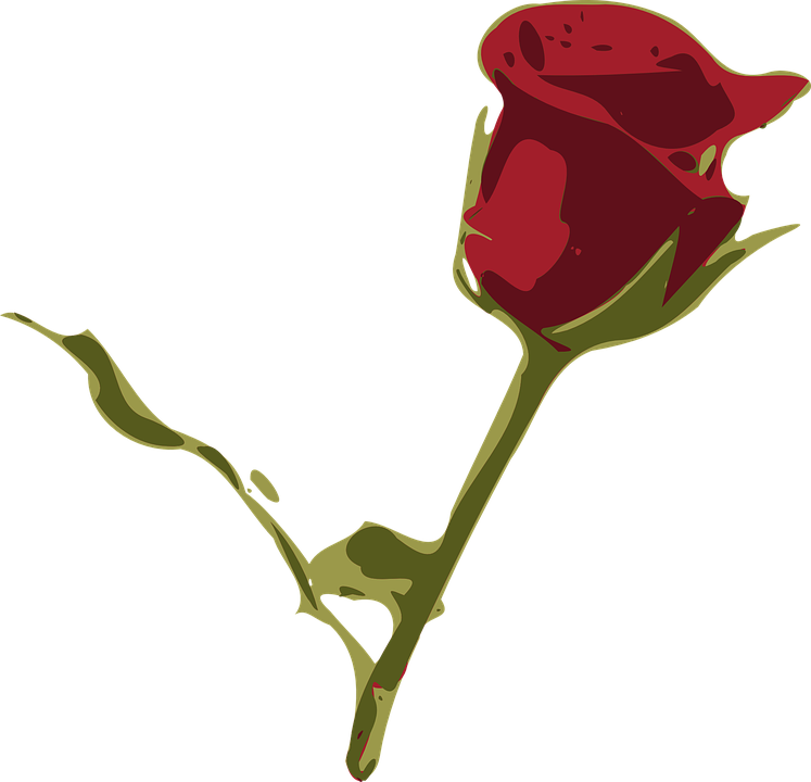 Red Rose Cartoon 13, - Rosa Roja Flor Png (747x720)