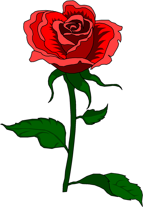 Red Rose Cartoon 8, Buy Clip Art - Fairest Creatures We Desire Increase (497x720)
