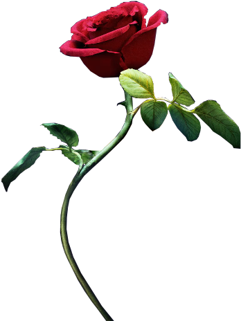 Nickelbackloverxoxox 93 3 Beauty And The Beast - Beauty And The Beast (472x474)