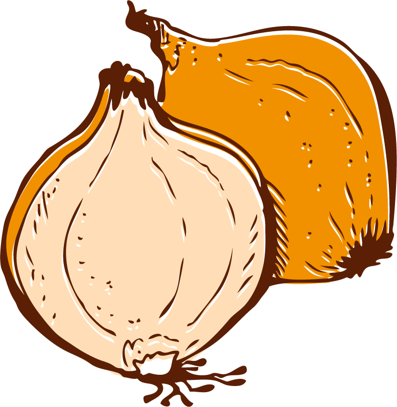 Onion Vegetable Euclidean Vector - Onion Vegetable Euclidean Vector (777x795)