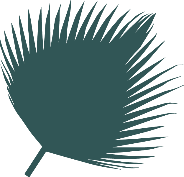 The Surf's Up At Trcc This Summer Ride The Wave Into - The Surf's Up At Trcc This Summer Ride The Wave Into (624x600)