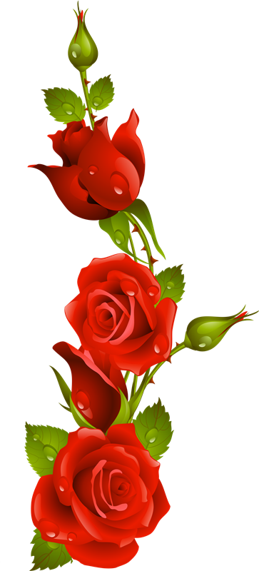 Gifs Con Movimiento Y Brillo De Amor - Nusaibah Srikandi Besi [book] (365x800)