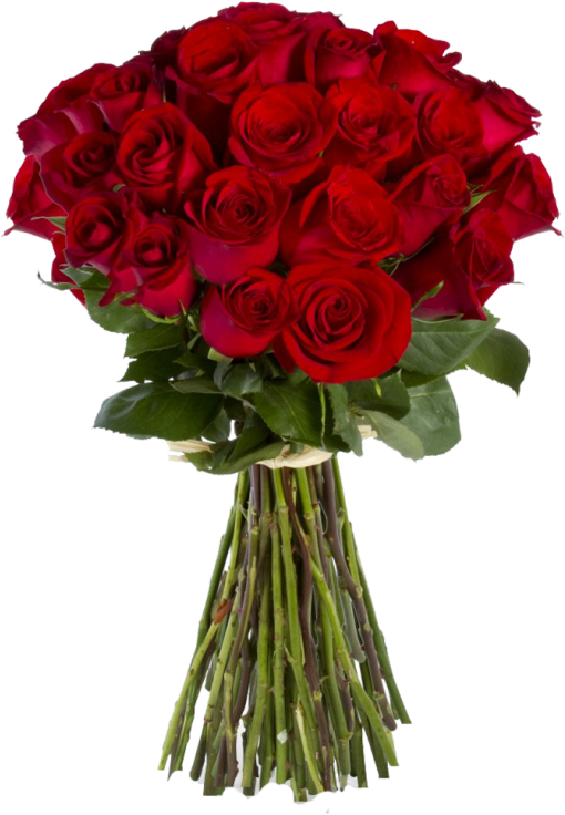 33, Red Roses Bouquet, Hd Photo Collection - Bouquet Of Red Roses (780x975)