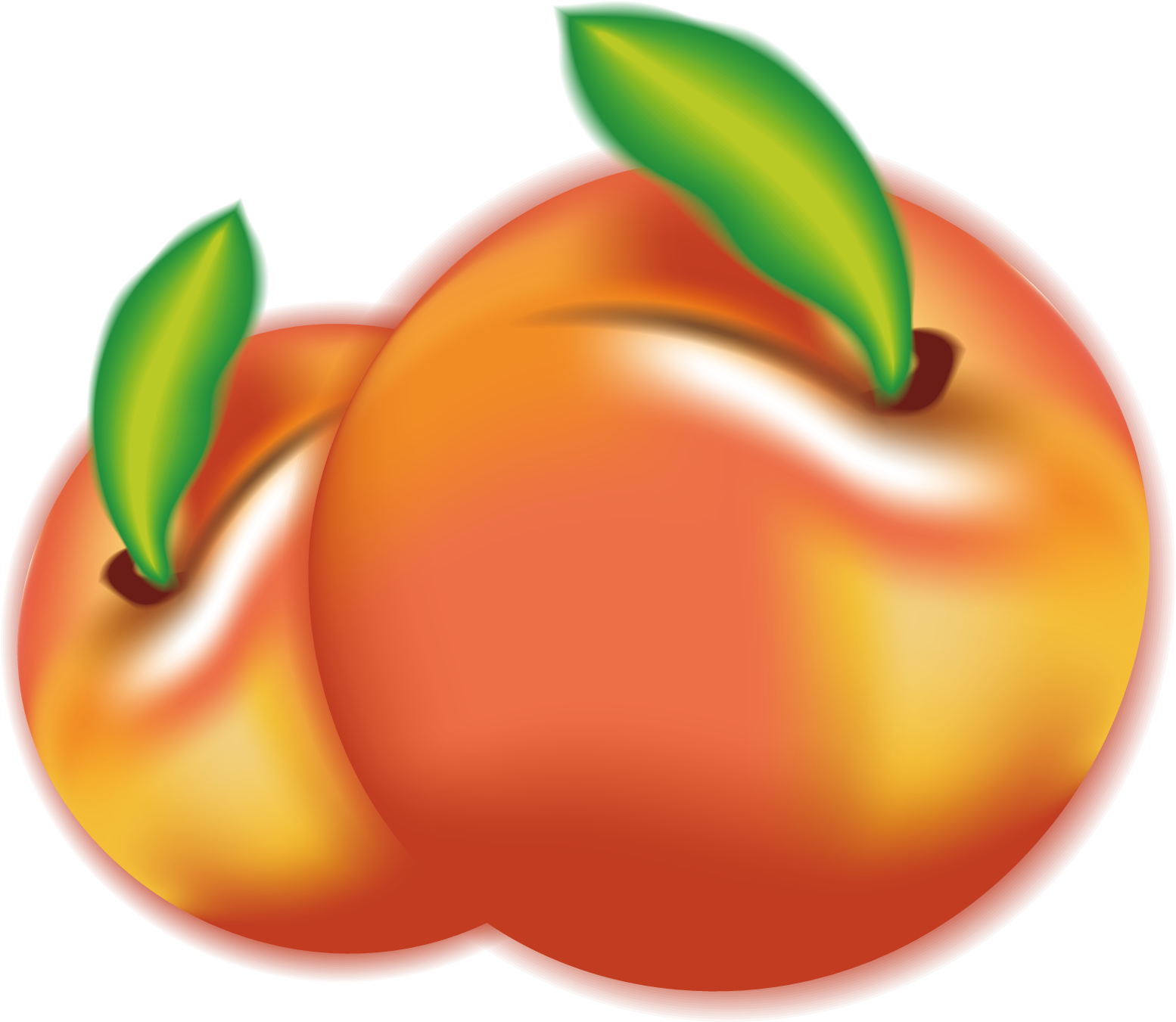 Peach Plum Fruit Euclidean Vector - Peach Plum Fruit Euclidean Vector (1600x1600)