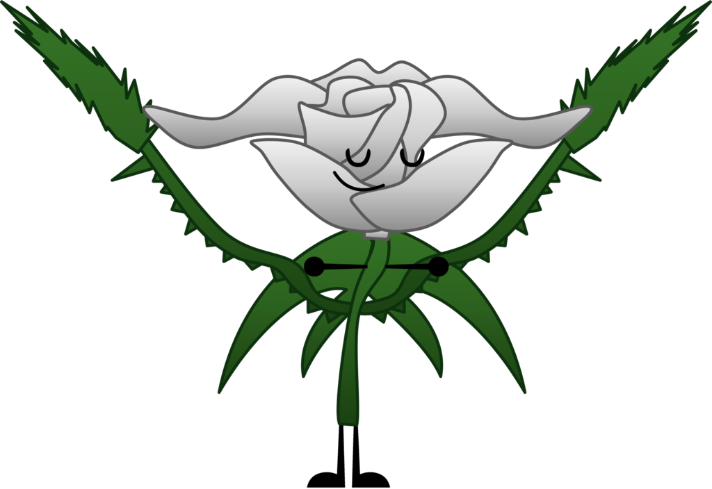 Mega White Rose By Planetbucket22 - Evolution (1024x704)
