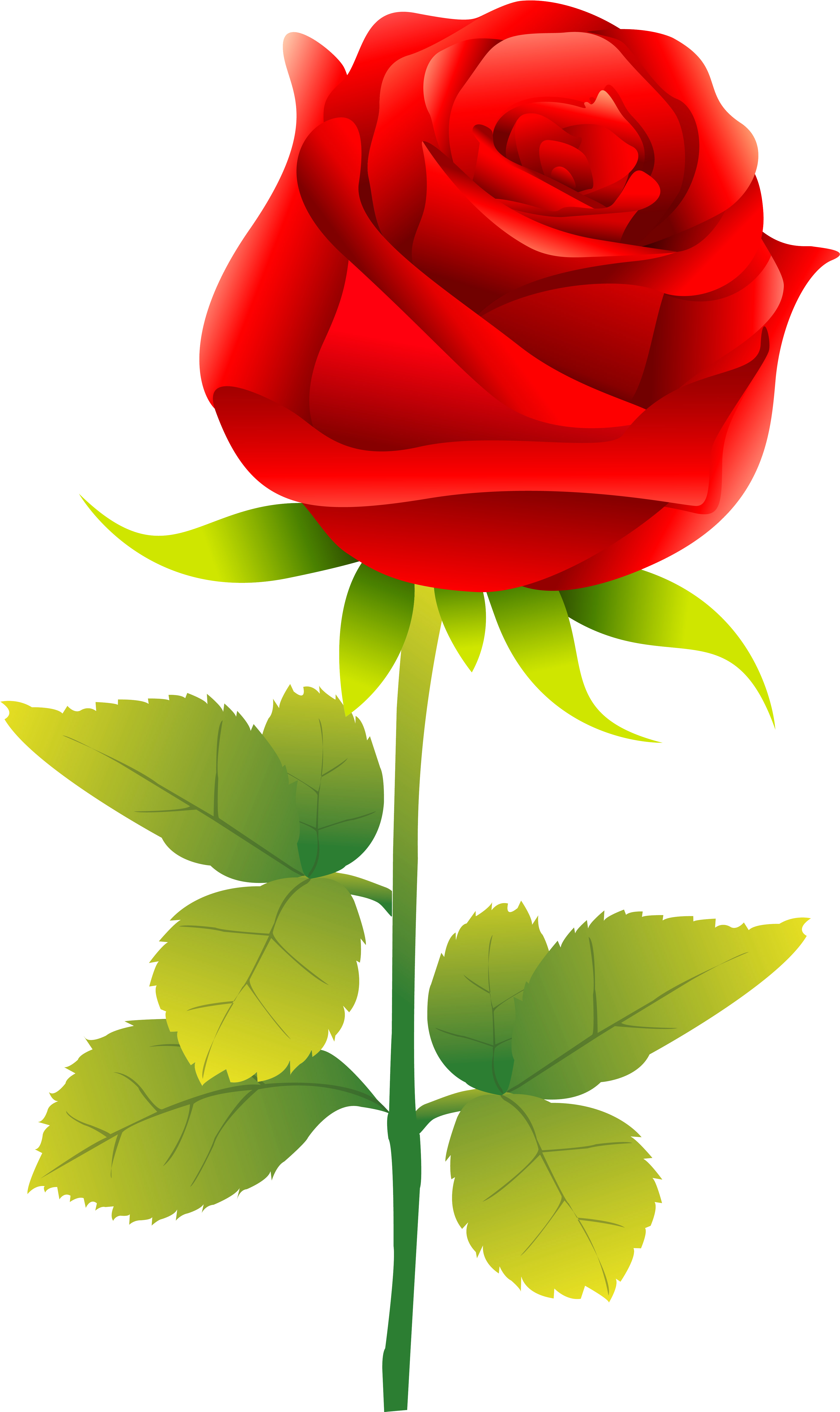 Rose Clip Art - Rose Vector Free (3931x6610)