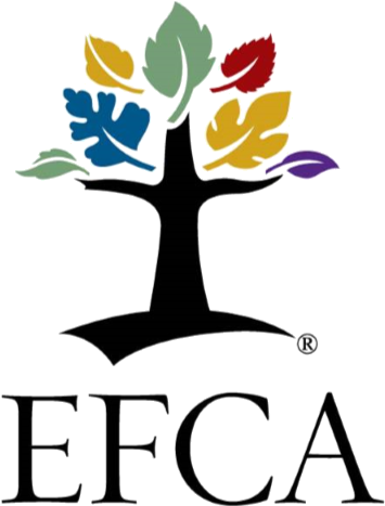 Lakewood's Statement Of Faith - Evangelical Free Church Of America (482x482)