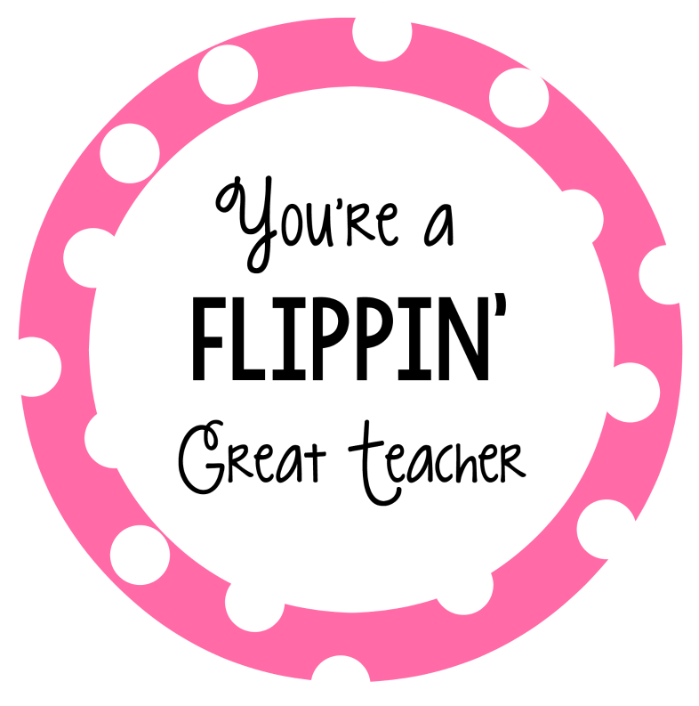 Orangeflippin Orangeteacher Pinkflippin Pinkteacher - Circle (800x800)