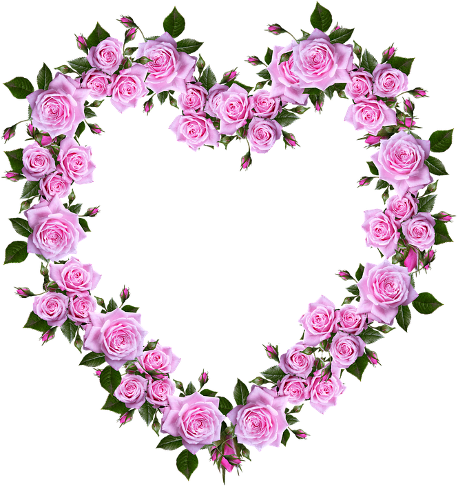 Roses, Heart, Romance, Valentine, Decoration - Real Pink Roses Hearts (664x720)