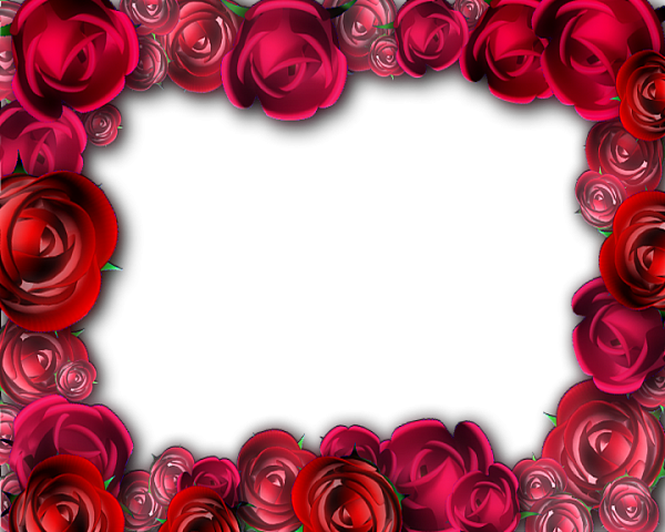 Transparent Roses Frame - Rose Petal Frame Transparent (600x480)