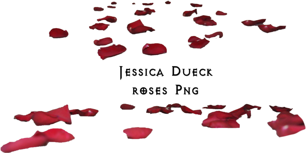 Maureenolder 1,904 964 Roses Petals Png I By Starscoldnight - Rose Petals On Floor Png (1024x565)