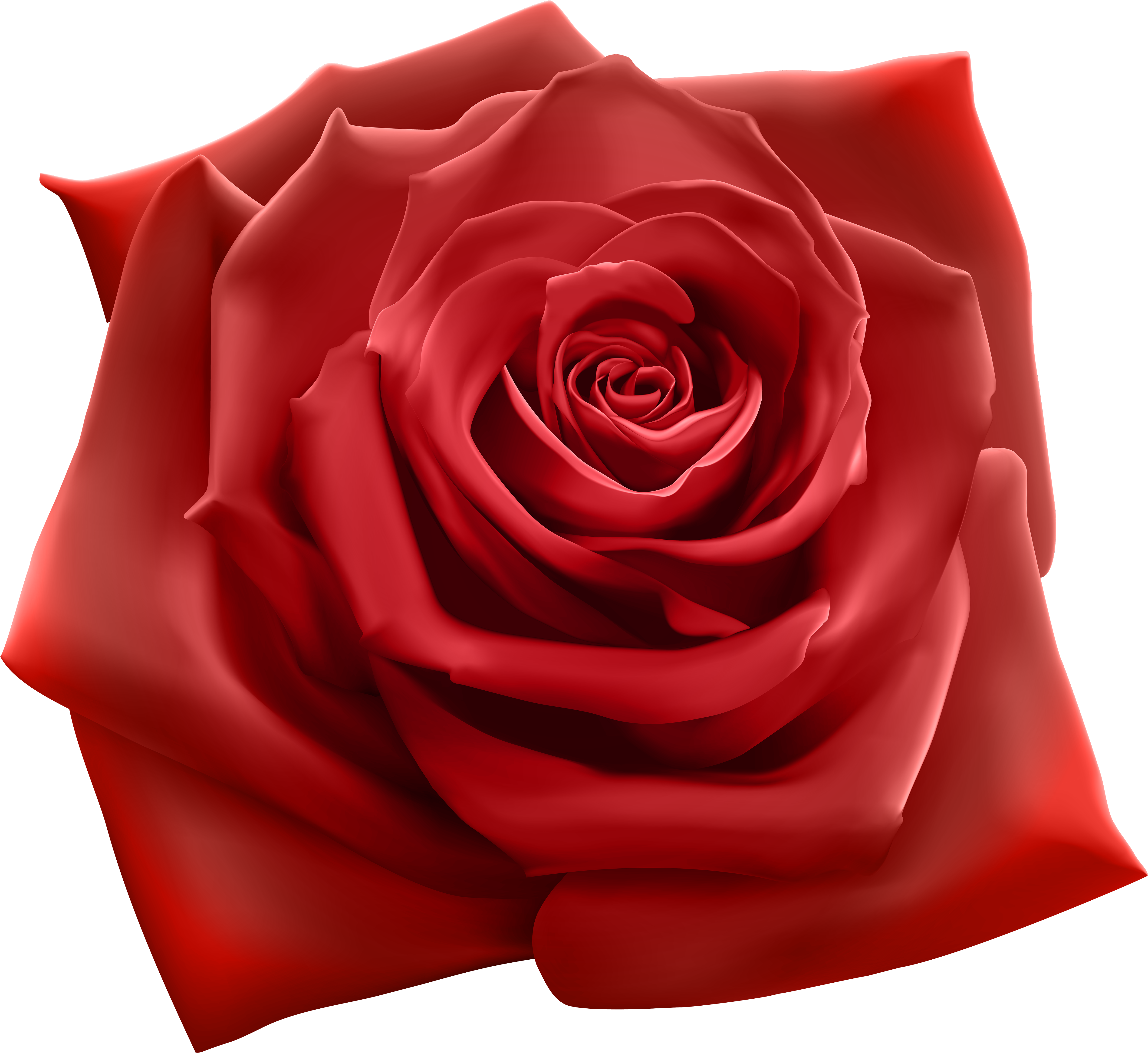 Red Rose Png Clipart Image - Red Rose Png (5000x4586)