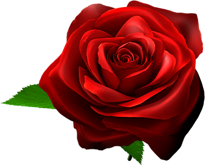 Feature Rose Character - Aruze Gaming America, Inc. (510x346)