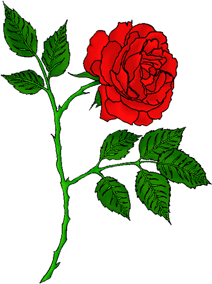 Rose - Red Rose Tattoo Transparent (433x604)