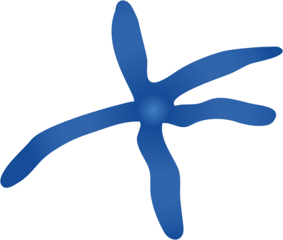 Blue - Starfish - Drawing - Blue Sea Star (400x340)